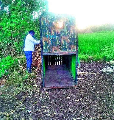 Cage to catch a female in a puddle | खामखेड्यात मादीला पकडण्यासाठी पिंजरा Cage to catch a female in a puddle | खामखेड्यात मादीला पकडण्यासाठी पिंजरा