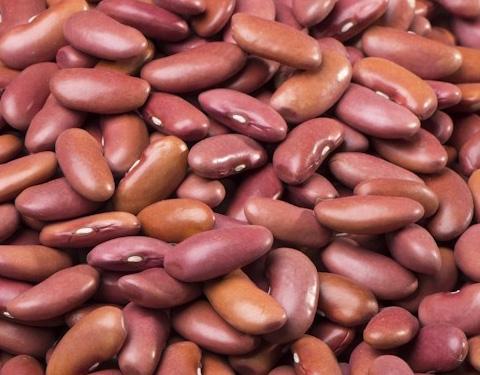 Rule of Koregaon threatened again! | कोरेगावचा राजमा दराअभावी पुन्हा धोक्यात !