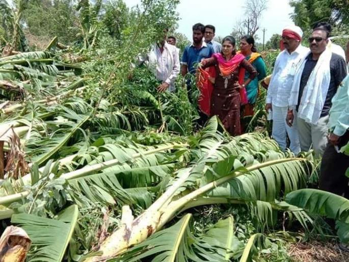 42.40 lakh loss of banana in hurricane and hail storms | चक्रीवादळ व गारपिटीच्या तडाख्यात केळीचे ४२.४० लाखांचे नुकसान 42.40 lakh loss of banana in hurricane and hail storms | चक्रीवादळ व गारपिटीच्या तडाख्यात केळीचे ४२.४० लाखांचे नुकसान