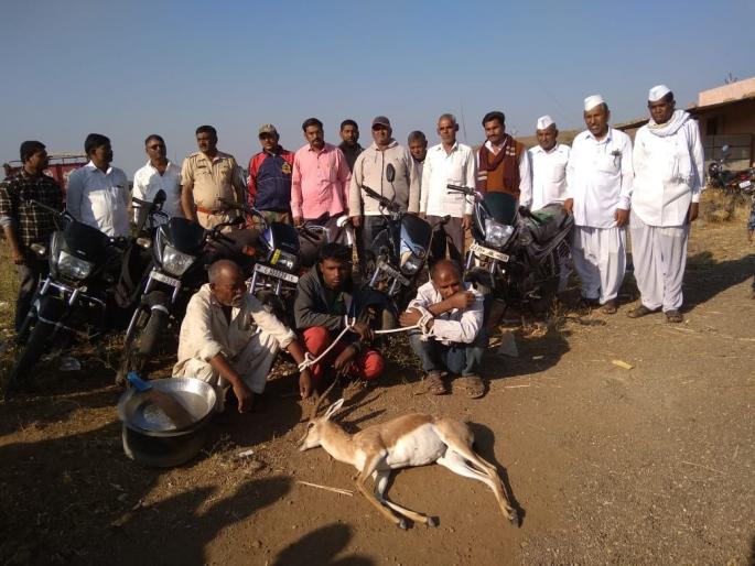 Chinkara hunting, three arrested in the stadium | चिंकाराची शिकार,सटाण्यात तिघांना अटक Chinkara hunting, three arrested in the stadium | चिंकाराची शिकार,सटाण्यात तिघांना अटक