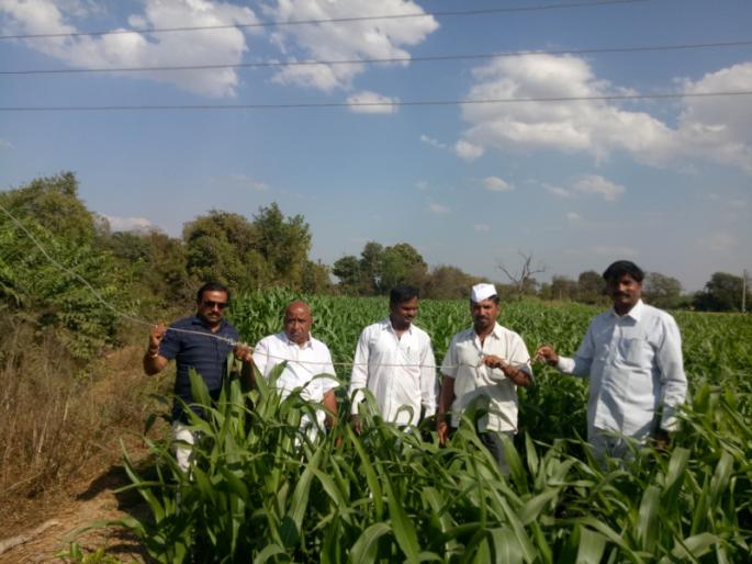 The question of dangerous electricity wire in Pune; The neglect of the electricity distribution company | जीर्ण विद्युत तारांचा प्रश्न ऐरणीवर; विद्युत वितरण कंपनीचे दुर्लक्ष शेतकऱ्यांच्या मुळावर The question of dangerous electricity wire in Pune; The neglect of the electricity distribution company | जीर्ण विद्युत तारांचा प्रश्न ऐरणीवर; विद्युत वितरण कंपनीचे दुर्लक्ष शेतकऱ्यांच्या मुळावर