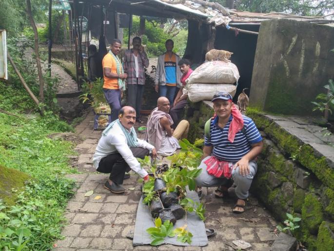 Emphasis on making Trimbakla a green 'Bramhagiri' | त्र्यंबकला हरित ‘ब्रम्हगिरी' साकारण्यावर भर Emphasis on making Trimbakla a green 'Bramhagiri' | त्र्यंबकला हरित ‘ब्रम्हगिरी' साकारण्यावर भर