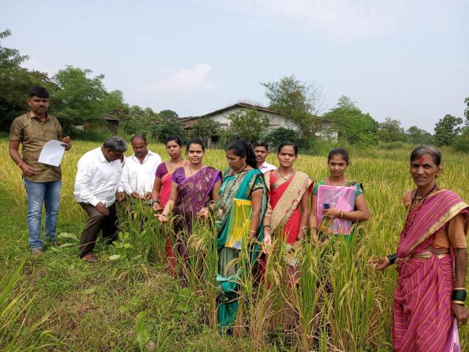 'Farm land health magazine' to 1751 farmers from Thane district | आदर्श गांव संकल्पनेतून ठाणे जिल्ह्यातील १७५१ शेतकऱ्यांना ‘शेत जमिनीची आरोग्य पत्रिका’  'Farm land health magazine' to 1751 farmers from Thane district | आदर्श गांव संकल्पनेतून ठाणे जिल्ह्यातील १७५१ शेतकऱ्यांना ‘शेत जमिनीची आरोग्य पत्रिका’
