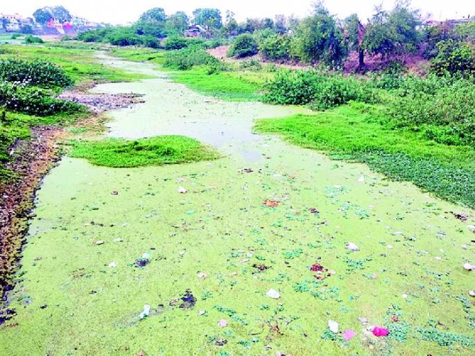 The bore river will become rich due to the highway | महामार्गामुळे बोर नदीपात्र होणार समृद्ध The bore river will become rich due to the highway | महामार्गामुळे बोर नदीपात्र होणार समृद्ध