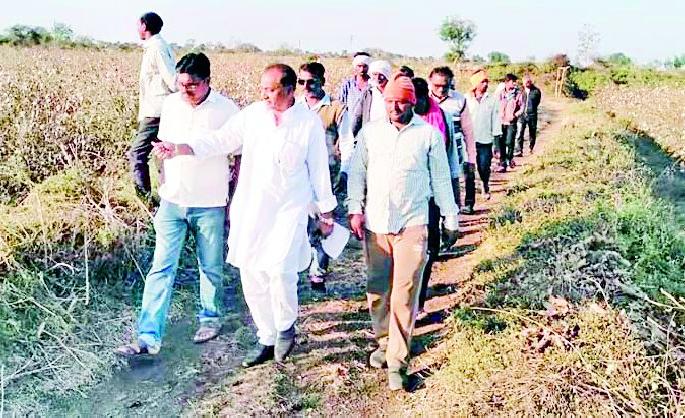 Farmers march on tahsil today | शेतकऱ्यांचा तहसीलवर आज मोर्चा Farmers march on tahsil today | शेतकऱ्यांचा तहसीलवर आज मोर्चा