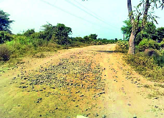 Bound next to the treefront tree | रस्त्याच्या दुतर्फा वृक्षारोपणाला बगल Bound next to the treefront tree | रस्त्याच्या दुतर्फा वृक्षारोपणाला बगल
