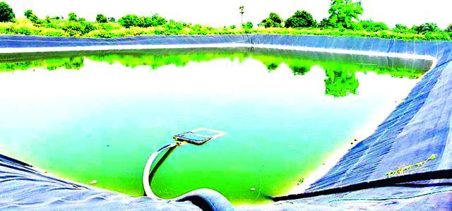 The bulk of the collective farming and solar pumps | सामूहिक शेततळे अन् सोलरपंप ठरले भरभराटीचे साधन The bulk of the collective farming and solar pumps | सामूहिक शेततळे अन् सोलरपंप ठरले भरभराटीचे साधन