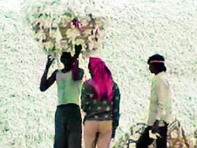 CCI stopped shopping for fine cotton | सीसीआयने चांगल्या कापसासाठी खरेदी थांबविली