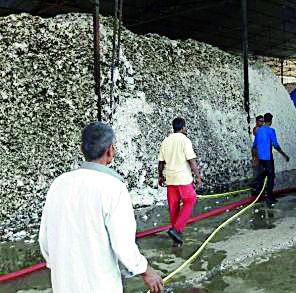 Fireworks worth Rs 12 lakh | आगीत १२ लाखांचा कापूस खाक