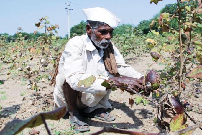 Problems of farmers exacerbated by Samrudhi Highway | समृद्धी महामार्गाच्या कामाने वाढविल्या शेतकऱ्यांच्या अडचणी Problems of farmers exacerbated by Samrudhi Highway | समृद्धी महामार्गाच्या कामाने वाढविल्या शेतकऱ्यांच्या अडचणी