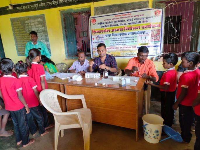 8 students of sickle cell were found in Gadchiroli district | गडचिरोली जिल्ह्यात सिकलसेलचे ८ विद्यार्थी आढळले 8 students of sickle cell were found in Gadchiroli district | गडचिरोली जिल्ह्यात सिकलसेलचे ८ विद्यार्थी आढळले