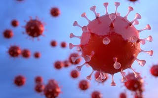 Corona virus : 497 new corona cases were reported on Friday in pimpri city , died eight people | Corona virus : पिंपरी शहरात शुक्रवारी दिवसभरात ४९७ नवीन कोरोनाग्रस्त , आठ जणांचा बळी Corona virus : 497 new corona cases were reported on Friday in pimpri city , died eight people | Corona virus : पिंपरी शहरात शुक्रवारी दिवसभरात ४९७ नवीन कोरोनाग्रस्त , आठ जणांचा बळी