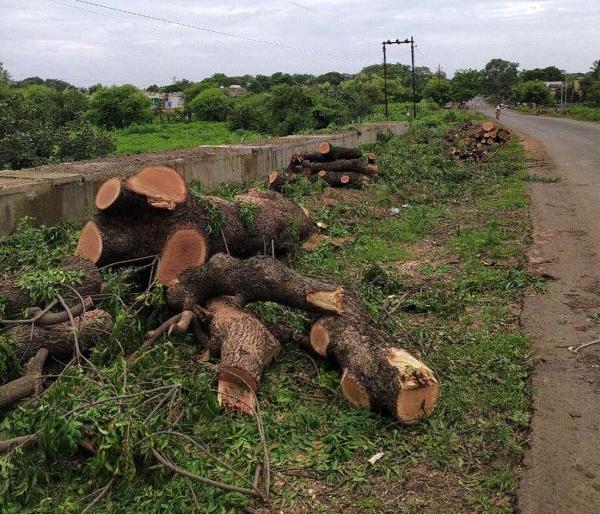 In Wardha, only the extremist development rejected by Bapu gets a boost! | वर्ध्यात बापूंनी नाकारलेल्या अतिरेकी विकासालाच मिळतेय चालना! In Wardha, only the extremist development rejected by Bapu gets a boost! | वर्ध्यात बापूंनी नाकारलेल्या अतिरेकी विकासालाच मिळतेय चालना!