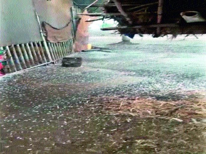 Heavy rain in the areas of Mamdapur, Rajapur, Khorwadi, Devduri | ममदापूर, राजापूर, खरवंडी, देवदरी परिसरात गारांचा पाऊस Heavy rain in the areas of Mamdapur, Rajapur, Khorwadi, Devduri | ममदापूर, राजापूर, खरवंडी, देवदरी परिसरात गारांचा पाऊस