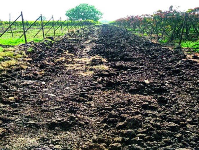 Sixty years later, the 'mugsare' of the mungsare | साठ वर्षांनंतर मुंगसरे शिवरस्त्याचा ‘मार्ग मोकळा’ Sixty years later, the 'mugsare' of the mungsare | साठ वर्षांनंतर मुंगसरे शिवरस्त्याचा ‘मार्ग मोकळा’