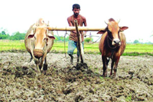 Today's review of the drought situation | दुष्काळसदृश परिस्थितीचा आज आढावा Today's review of the drought situation | दुष्काळसदृश परिस्थितीचा आज आढावा