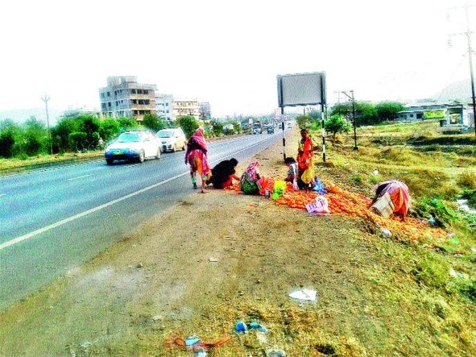 Ghanti Tomato 50 pounds Kg | घोटीत टमाटे ५० पैसे किलो Ghanti Tomato 50 pounds Kg | घोटीत टमाटे ५० पैसे किलो