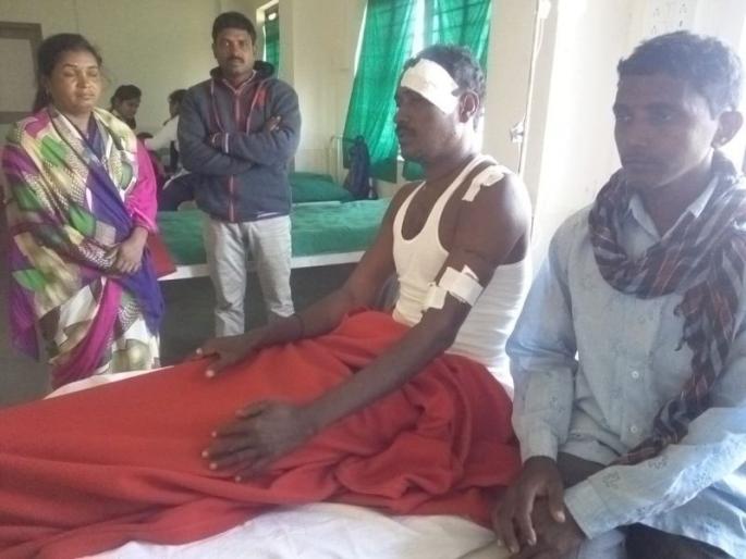 Person Injured in attack of bear in Bhandara district | भंडारा जिल्ह्यात अस्वलाच्या हल्ल्यात इसम जखमी Person Injured in attack of bear in Bhandara district | भंडारा जिल्ह्यात अस्वलाच्या हल्ल्यात इसम जखमी