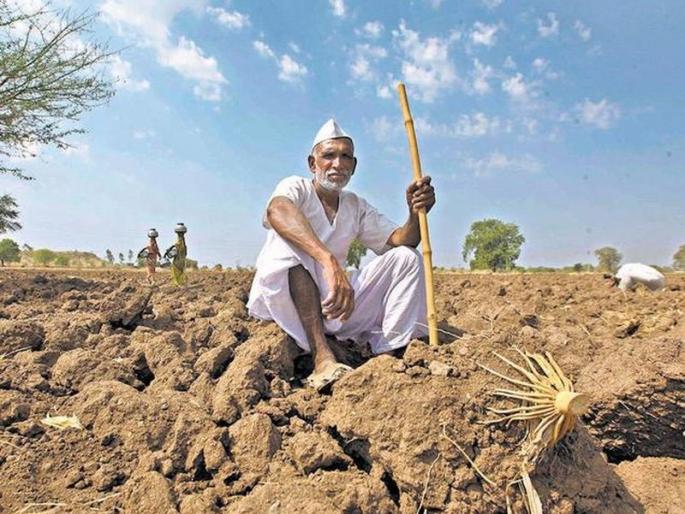 21,000 farmers of Chandrapur district were visiting Tehsil office | चंद्रपूर जिल्ह्यातील २१ हजार शेतकरी झिजविताहेत तहसील कार्यालयाचे उंबरठे 21,000 farmers of Chandrapur district were visiting Tehsil office | चंद्रपूर जिल्ह्यातील २१ हजार शेतकरी झिजविताहेत तहसील कार्यालयाचे उंबरठे