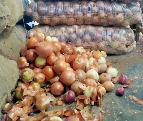 Wardha people turned back on the Turkish onion | तुर्कस्तानच्या कांद्याकडे वर्धावासियांनी फिरवली पाठ Wardha people turned back on the Turkish onion | तुर्कस्तानच्या कांद्याकडे वर्धावासियांनी फिरवली पाठ