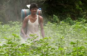 Agricultural rights of ZP will be discontinue in Yawatmal | यवतमाळ जि.प.चे कृषी परवाना अधिकार काढणार Agricultural rights of ZP will be discontinue in Yawatmal | यवतमाळ जि.प.चे कृषी परवाना अधिकार काढणार