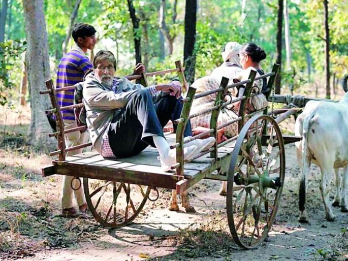 Big B said bye bye to Nagpur | आम्ही जातो अमुच्या गावा... Big B said bye bye to Nagpur | आम्ही जातो अमुच्या गावा...