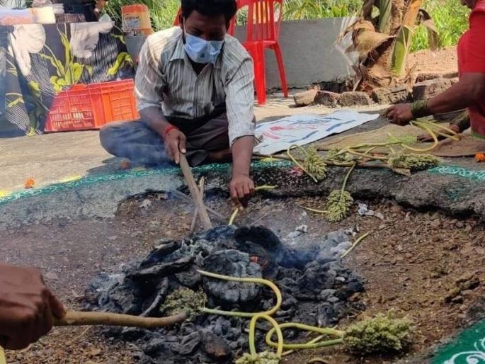 The hot hurricane in Agati is now being banished; Youth refuses to blacken hands | आगटीतील गरम हुरडा होतोय आता हद्दपार; हात काळे करण्यास तरुणाईचा नकार The hot hurricane in Agati is now being banished; Youth refuses to blacken hands | आगटीतील गरम हुरडा होतोय आता हद्दपार; हात काळे करण्यास तरुणाईचा नकार