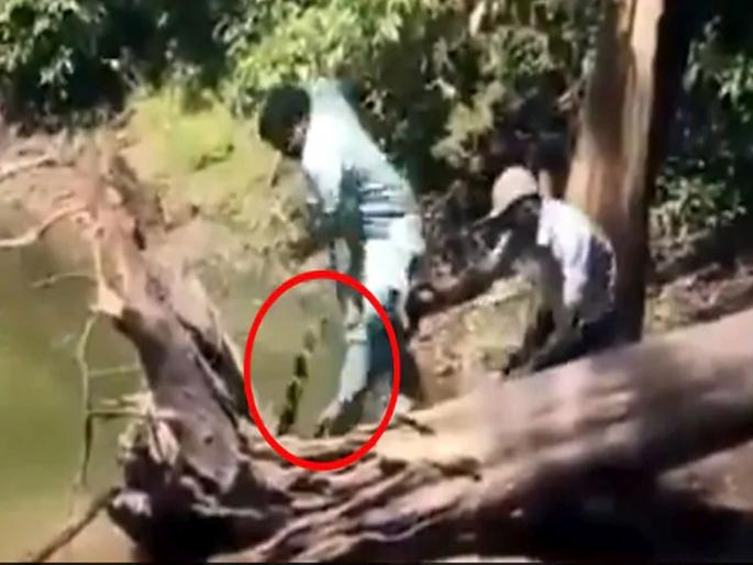 karnataka reptile expert narrowly escapes being bitten by a cobra see vira video | थरारक! नदीत सापाला पडकता पकडता मागून कोब्रानं केला हल्ला; अन् मग... पाहा व्हिडीओ karnataka reptile expert narrowly escapes being bitten by a cobra see vira video | थरारक! नदीत सापाला पडकता पकडता मागून कोब्रानं केला हल्ला; अन् मग... पाहा व्हिडीओ