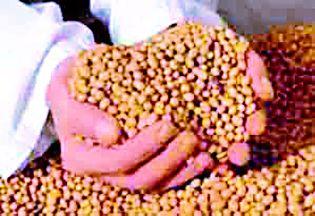 Lose the direction of Sadabhau | सदाभाऊंच्या निर्देशाला खो Lose the direction of Sadabhau | सदाभाऊंच्या निर्देशाला खो