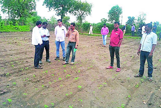 Soybean inspection visit to the field of officers | अधिकाऱ्यांचा शेतात सोयाबीन पाहणी दौरा