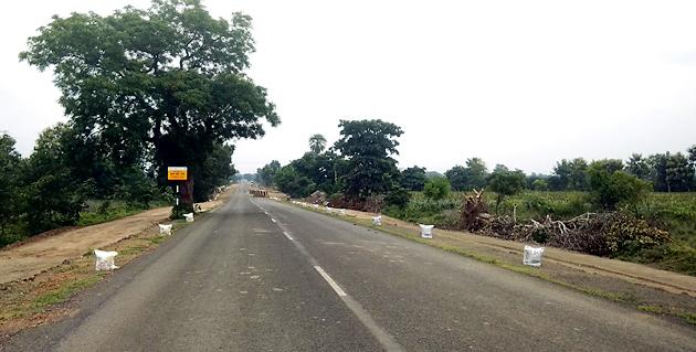 Victim of big tree in road width | रस्ता रुंदीकरणात महाकाय वृक्षाचा बळी Victim of big tree in road width | रस्ता रुंदीकरणात महाकाय वृक्षाचा बळी