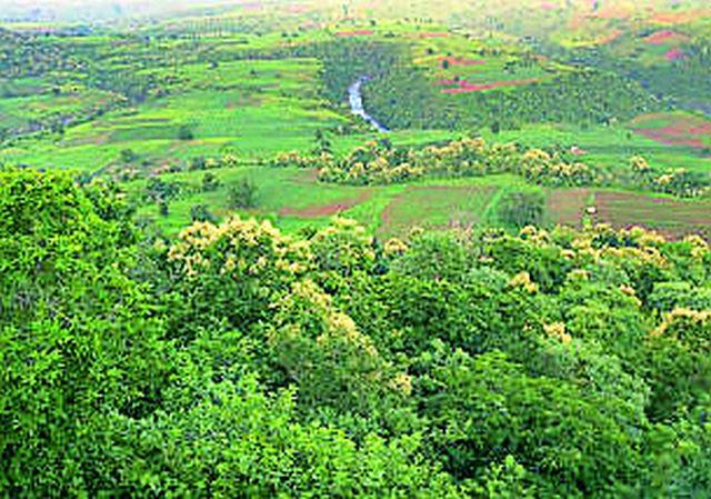 The lowest rainfall in the paradise | नंदनवनात सर्वांत कमी पाऊस The lowest rainfall in the paradise | नंदनवनात सर्वांत कमी पाऊस