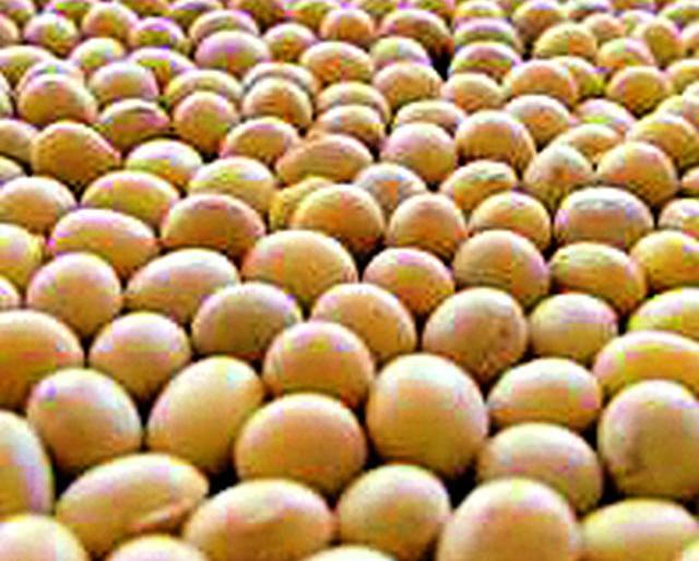 Four centers; How to register? | चार केंद्रांचा वांधा; कशी होणार नोंदणी? Four centers; How to register? | चार केंद्रांचा वांधा; कशी होणार नोंदणी?