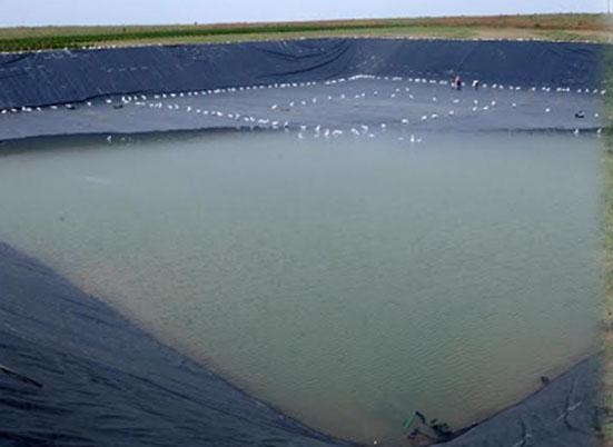 In Beed 11269 farmers are still eligible for farming | बीडमध्ये ११२६९ शेतकरी पात्र तरीही शेततळ््यांचे उद्दिष्ट अपूर्ण