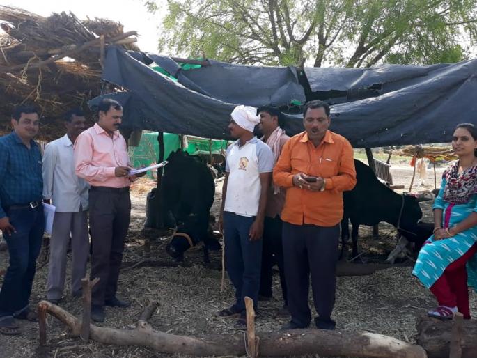 Inspection by departmental squad | विभागीय पथकाकडून तपासणी