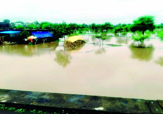 Heavy rain showers; | धो-धो बरसला पाऊस;25 मंडळात अतिवृष्टी Heavy rain showers; | धो-धो बरसला पाऊस;25 मंडळात अतिवृष्टी