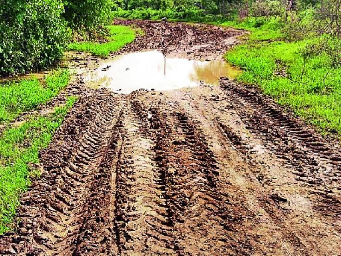 The road to Salai-Nerla is muddy | सालई-नेरला रस्ता चिखलमय The road to Salai-Nerla is muddy | सालई-नेरला रस्ता चिखलमय