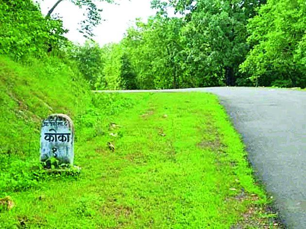 Moving tourism due to Coca-Cola | कोका अभयारण्यामुळे पर्यटनाला चालना Moving tourism due to Coca-Cola | कोका अभयारण्यामुळे पर्यटनाला चालना