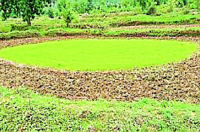 Heavy rains started again in the rainy season | पावसाच्या दडीने उकाडा वाढला पुन्हा सुरू झाली कुलरची घरघर Heavy rains started again in the rainy season | पावसाच्या दडीने उकाडा वाढला पुन्हा सुरू झाली कुलरची घरघर