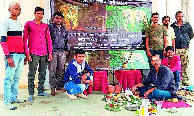 Turbaned to death | मुंडण करून दिली वाघांना श्रद्धांजली Turbaned to death | मुंडण करून दिली वाघांना श्रद्धांजली