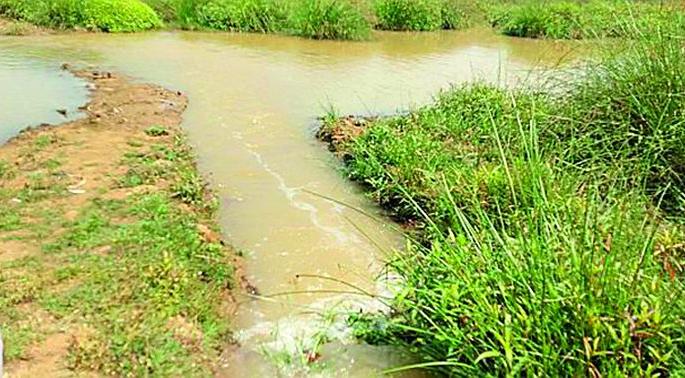 Etiadoh's water base in dry Kholmara ghat! | कोरड्या खोलमारा घाटात इटियाडोहच्या पाण्याचा आधार! Etiadoh's water base in dry Kholmara ghat! | कोरड्या खोलमारा घाटात इटियाडोहच्या पाण्याचा आधार!