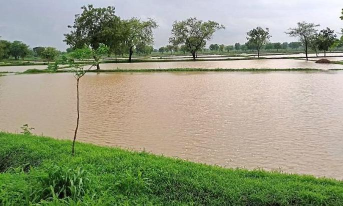 Warning of heavy rains in Vidarbha again; For the first time in 50 years | विदर्भात पुन्हा अतिवृष्टीचा इशारा; ५० वर्षांत प्रथमच अशी पूरस्थिती Warning of heavy rains in Vidarbha again; For the first time in 50 years | विदर्भात पुन्हा अतिवृष्टीचा इशारा; ५० वर्षांत प्रथमच अशी पूरस्थिती