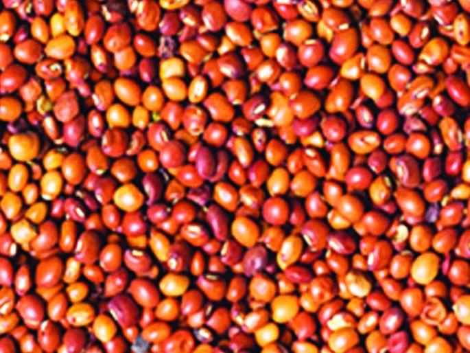 Toor crop in the field; But the registration is not done on Satbara! | शेतात तुरीची सोंगणी; मात्र सातबाऱ्यावर होईना नोंदणी! Toor crop in the field; But the registration is not done on Satbara! | शेतात तुरीची सोंगणी; मात्र सातबाऱ्यावर होईना नोंदणी!