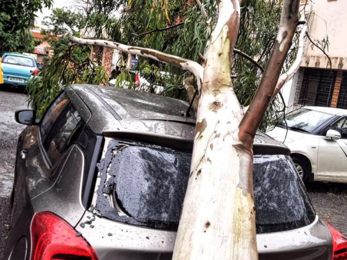 Damage caused by falling tree on car at Trimbakeshwar tehsil office | त्र्यंबकेश्वर तहसिल कार्यालयात कारवर झाड कोसळून नुकसान Damage caused by falling tree on car at Trimbakeshwar tehsil office | त्र्यंबकेश्वर तहसिल कार्यालयात कारवर झाड कोसळून नुकसान