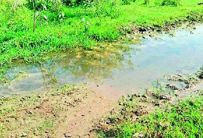 'They' turn the water elsewhere | ‘ते’ पाणी अन्यत्र वळवा  'They' turn the water elsewhere | ‘ते’ पाणी अन्यत्र वळवा