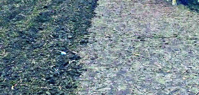 Many farmers are ignorant about soil testing | माती परीक्षणाबाबत अनेक शेतकरी अनभिज्ञ