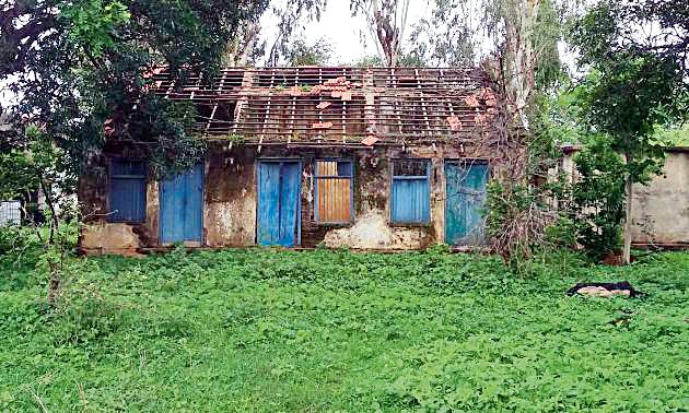 Government can get 100 acres of land | शासनाची शंभर एकर जमीन पडीत Government can get 100 acres of land | शासनाची शंभर एकर जमीन पडीत