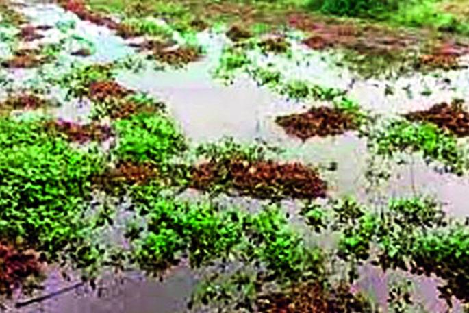 Finally the district administration got 79 crores 23 lakhs | अखेर जिल्हा प्रशासनाला मिळाले 79 कोटी 23 लाख