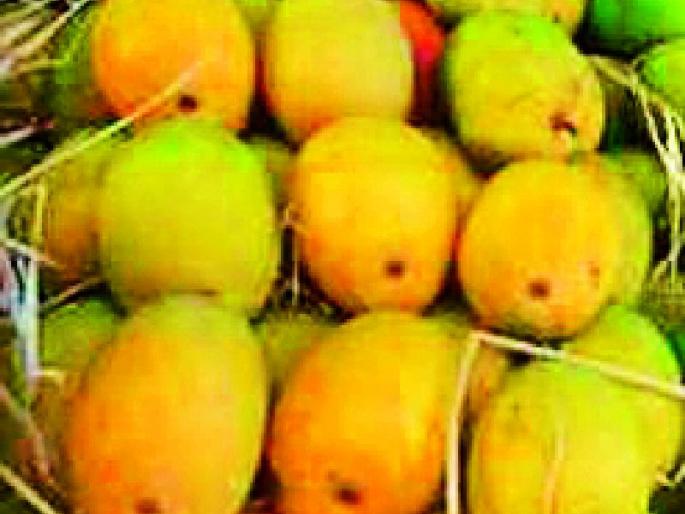 Closer to customers | अपरिपक्वहापूस ग्राहकांच्या माथी Closer to customers | अपरिपक्वहापूस ग्राहकांच्या माथी