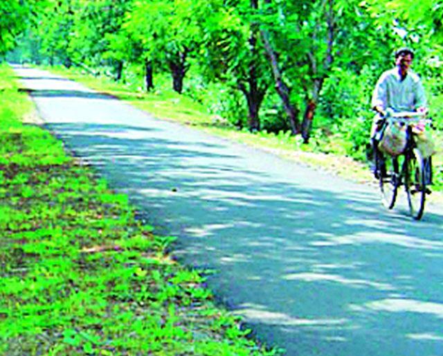 District road status for two roads | दोन रस्त्यांना जिल्हा मार्गाचा दर्जा District road status for two roads | दोन रस्त्यांना जिल्हा मार्गाचा दर्जा